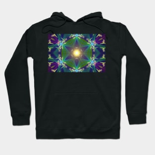 Butterflies in the sun Hoodie